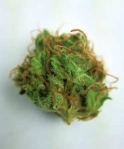 Train Wreck