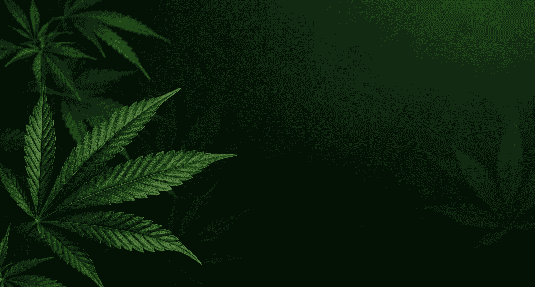 Weed & Pills