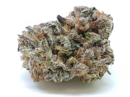Purple Kush